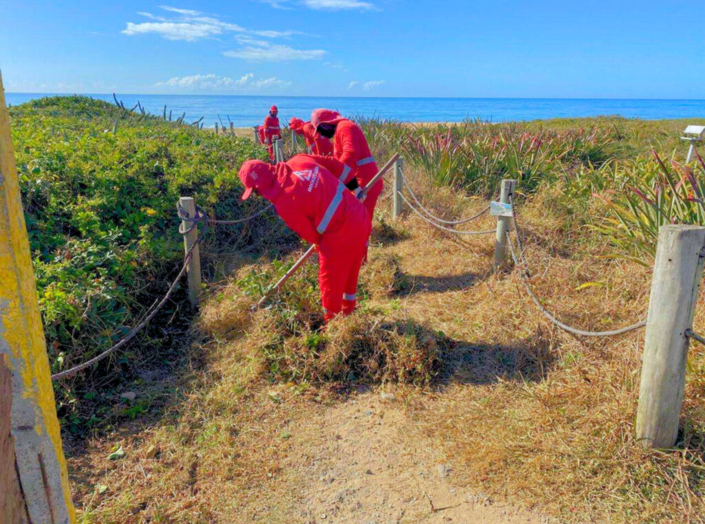 Equipe Rockefeller Ambiental realizando manutenção e limpeza de praia em Vila Velha (ES)